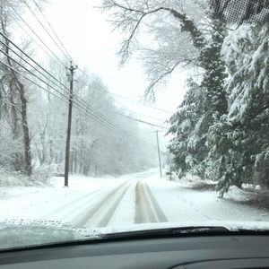 Meet your Posher, Molly